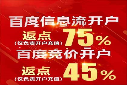 案例剖析：百度推广返点的应用与成效